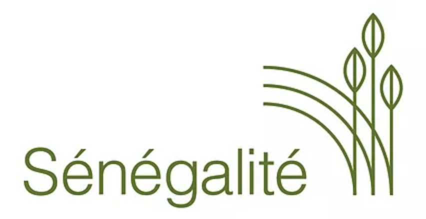 Logo Association Sénégalité
