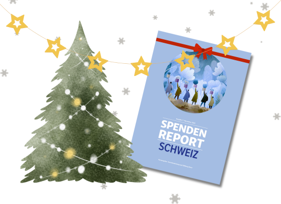 Bild Spendenreport 2025