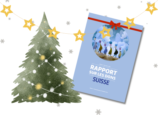 Image Rapport sur les dons